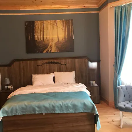 Staryy Dom Hotel Provincia di Istanbul
